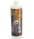 Bio Pronto Marine- 500 ml Rapid Cycling Culture