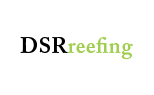 DSRreefing